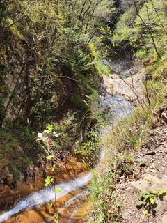 Photo de Steffen le long du parcours