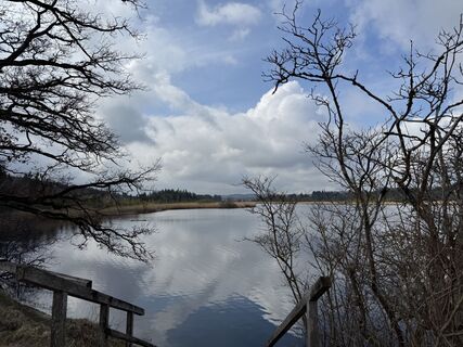 Fotografija s spletne strani Denise Miller na poti