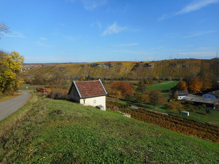 Weinberge südlich von Mundelsheim (von Kleiningersheim aus)
