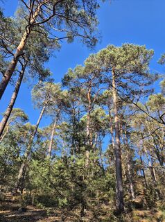 Fotografia z Monique Vroegh na trase