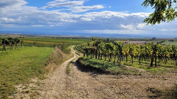 Wanderweg zur Aussichtsplattform