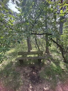 Foto von RS76 entlang der Tour