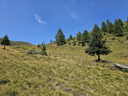 Foto von Jutta Ibeschitz entlang der Tour