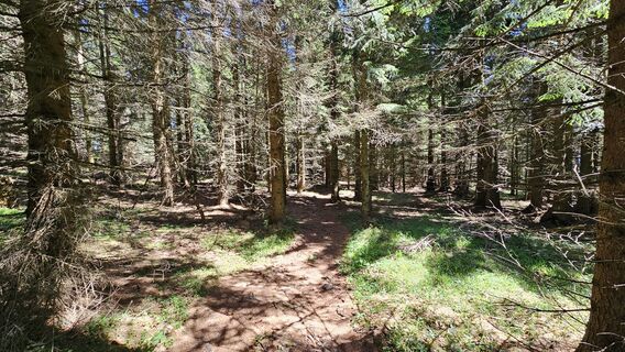 Photo de FritzB le long du parcours
