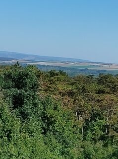 Fotografija s spletne strani Edit Szabó 1 na poti