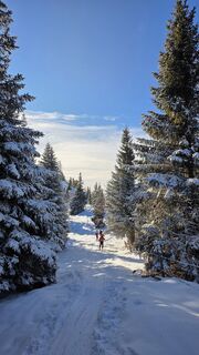 Zdjęcie z Gerhard Wilding wzdłuż trasy