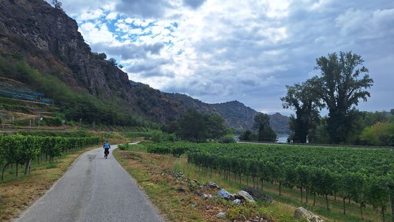Photo de Radovan Mjakis le long du parcours