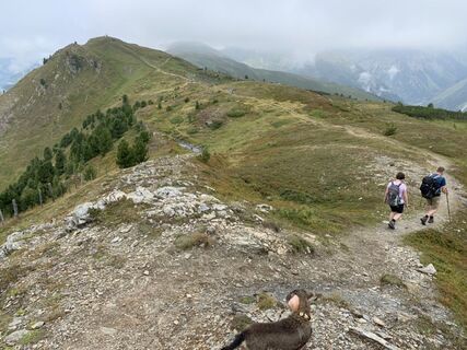 Foto van Koen De Wit langs de tour