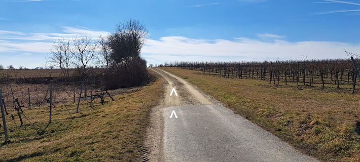 Feldweg von der L2014 Richtung süd weg