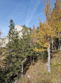 Photo de Sandra W. 1 le long du parcours