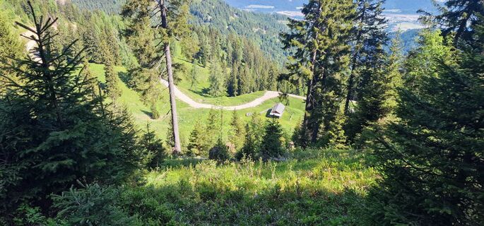 Zdjęcie z Marko wzdłuż trasy