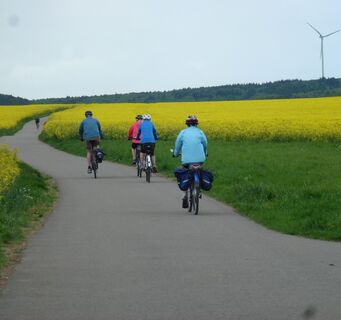 Durch die blühenden Rapsfelder nach Mehlingen