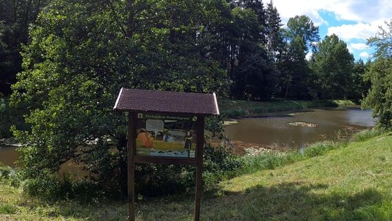 Fischzucht im Dreiteichsgrund