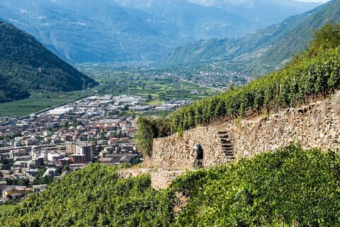 Terrassen Tirano