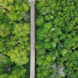 DJI_0490