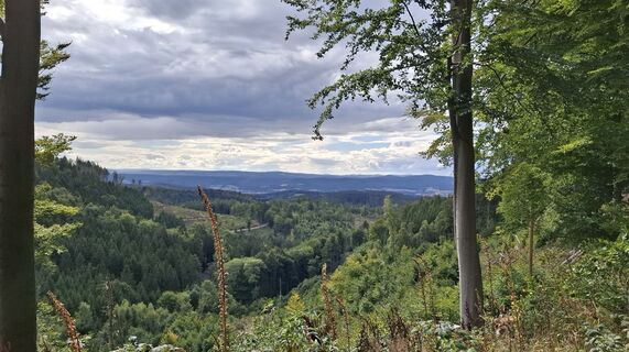 Fotografija s spletne strani Karin-Wandert na poti