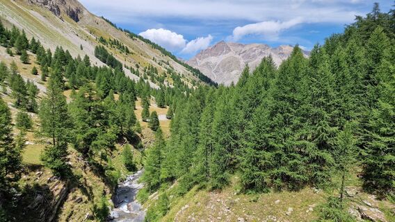Foto fra Fabrizi Mellano underveis på turen