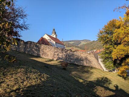 Foto von Gerhard Gollner entlang der Tour