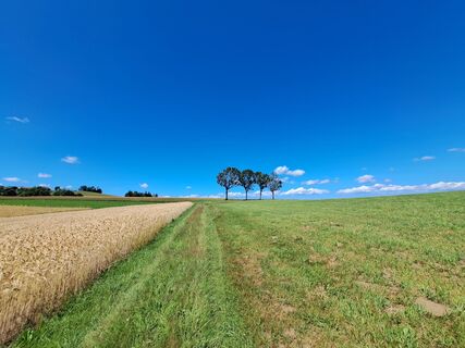 Photo de Bellou le long du parcours