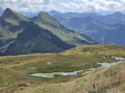 Fotografija s spletne strani Gudrun Lippert na poti