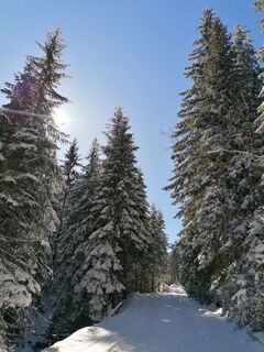 Foto de Žaneta Schelling a lo largo del recorrido