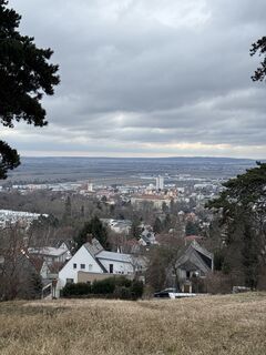Photo de Andreas Vogel 1 le long du parcours