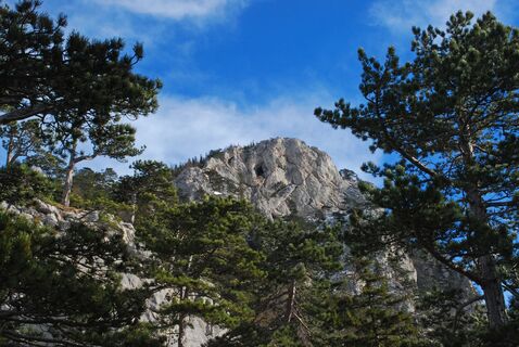 Mittagstein – Knofeleben – Wasserleitungsweg