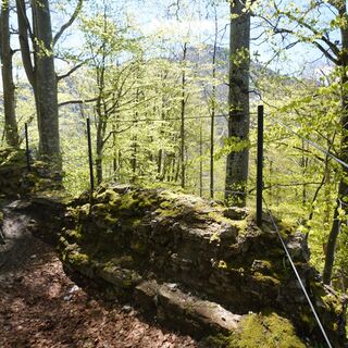 Weg zur Ruine Rothenfels