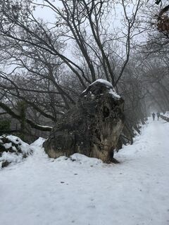 Foto von Bacskai János entlang der Tour