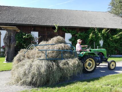 Vorbei an Bauernhöfen und Landwirtschaften