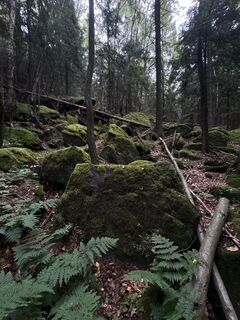 Fotografija s spletne strani Sebastian xxxx na poti