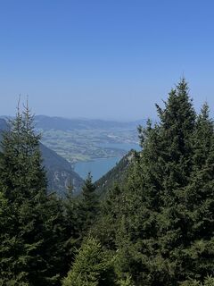 Photo de Moritz Engel le long du parcours