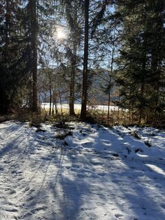 Zdjęcie z liam van de wiel wzdłuż trasy