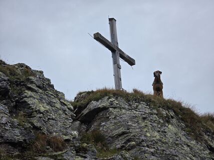 Foto von Schneekar entlang der Tour