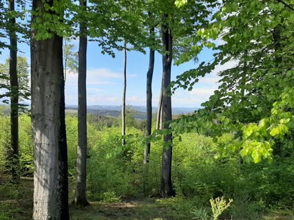 Landschaft-rund-um-die-Nuerburg©D.Scheffold
