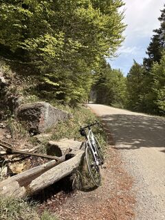 Photo de Helmut Schuchter le long du parcours