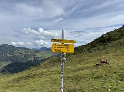 Foto von Marie Louise entlang der Tour