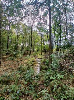 Photo de Daniel Kremiec le long du parcours
