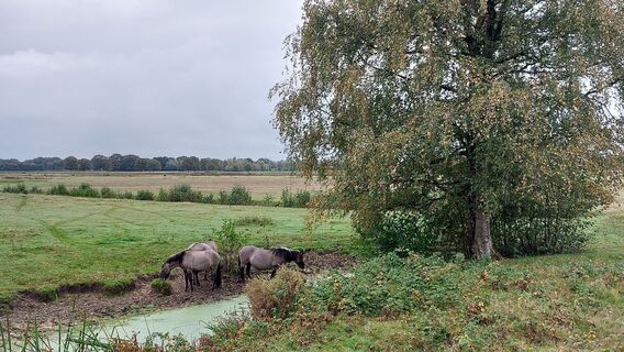 Fotografie de la wandelstef de-a lungul turului