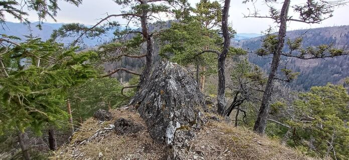 Fotografia z Bergfex Cros na trase