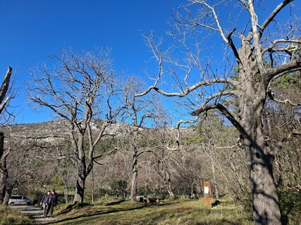 Foto von Bob Moh entlang der Tour