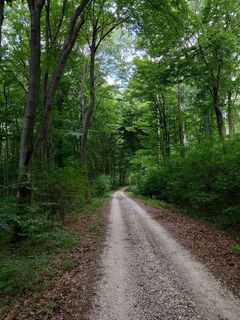 Photo de Poschacher le long du parcours
