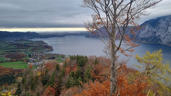 Fotografie de la Stefan Daller de-a lungul turului