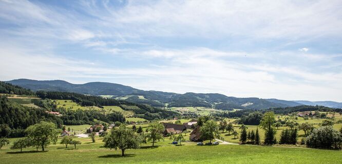 Hahn und Henne Oberbure