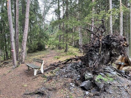 Photo de andreas edlinger 5 le long du parcours