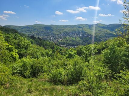Fotografija s spletne strani mmecki na poti