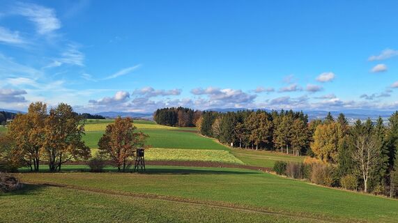 Foto von HeleneEcker entlang der Tour