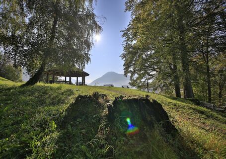 Kleines Paraplui Tegernsee