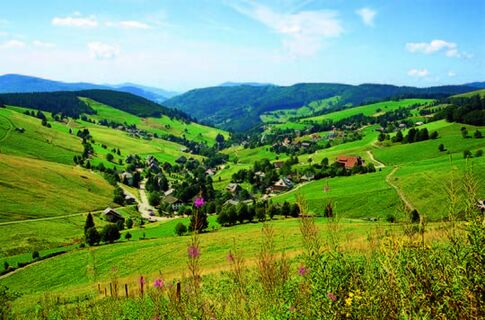 Blick vom Rundweg ins Tal