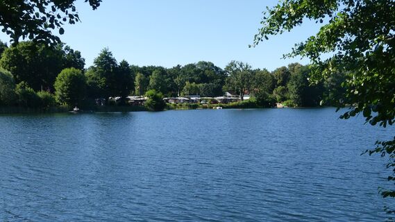 Waldsee - im Hintergrund der Campingplatz